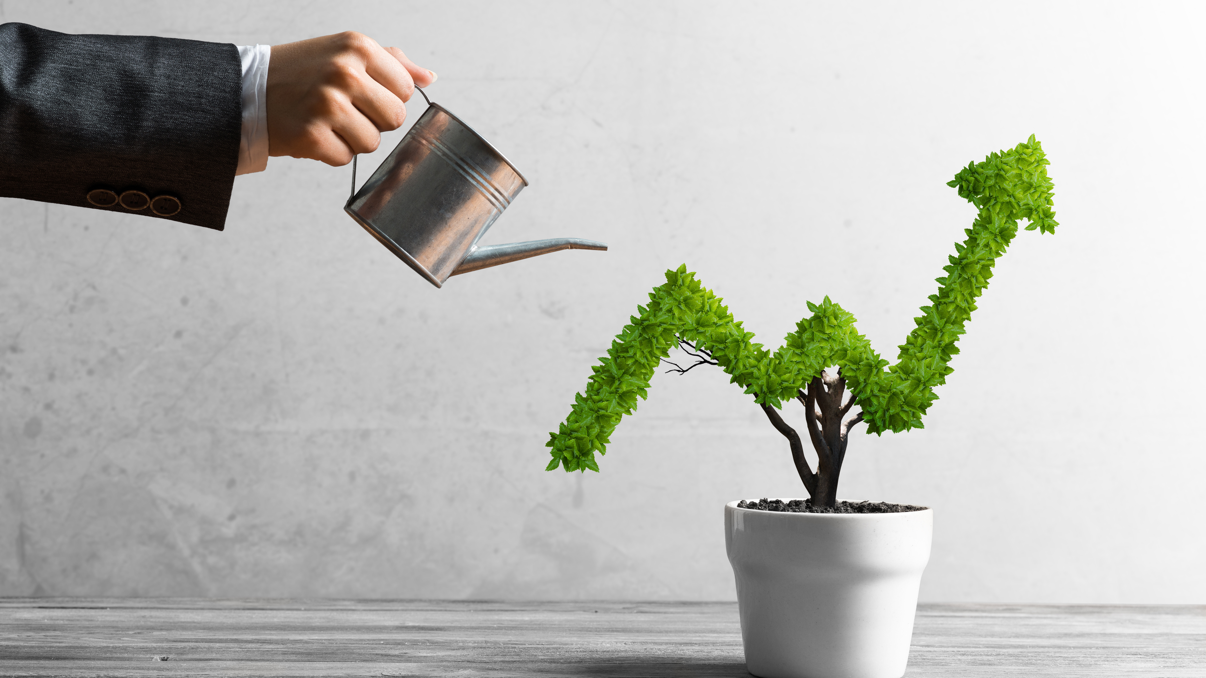 man watering plant in the shape of trend