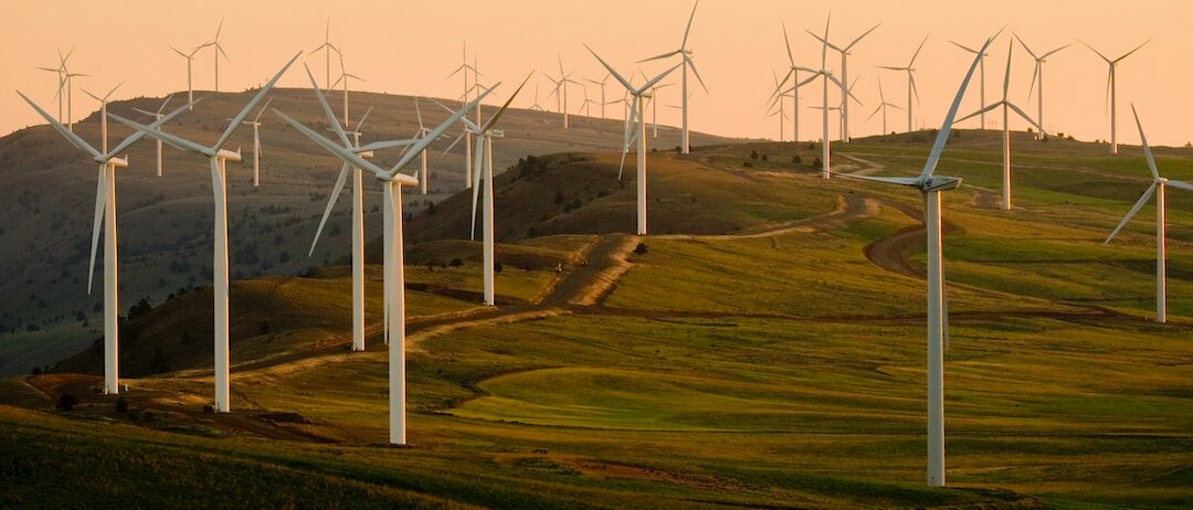 Planning for net-zero with renewable energy sources and DERs