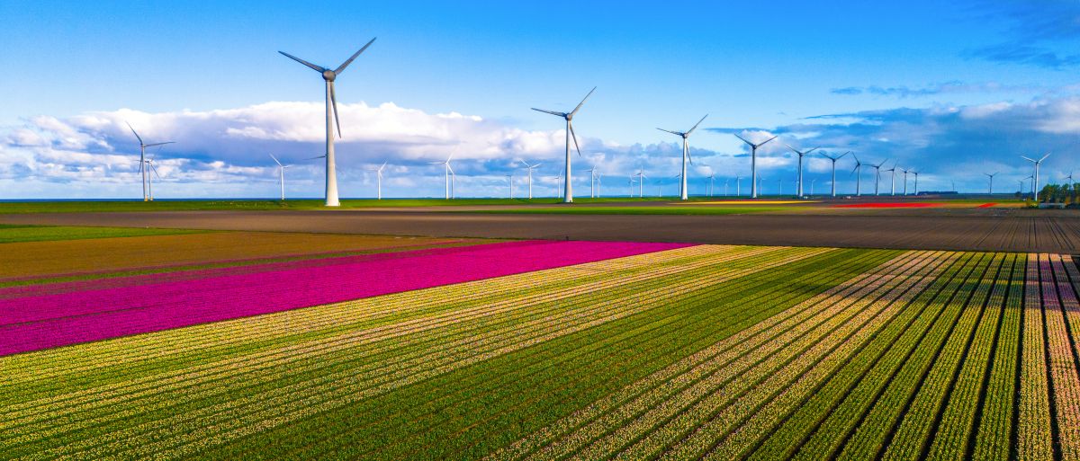 community wind farm - distributed energy resource