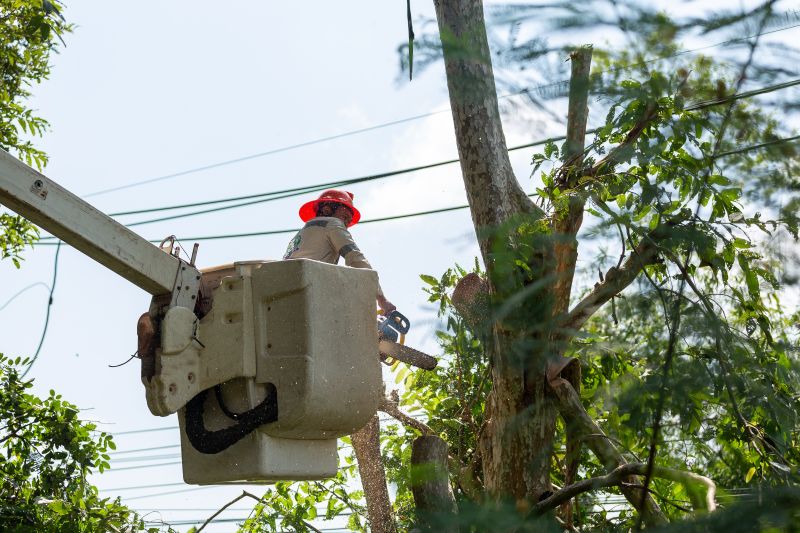 utility worker clearing vegetation