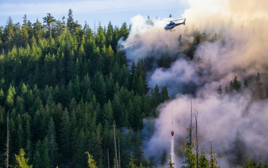 Infographic – Wildfire risk and emergency operations