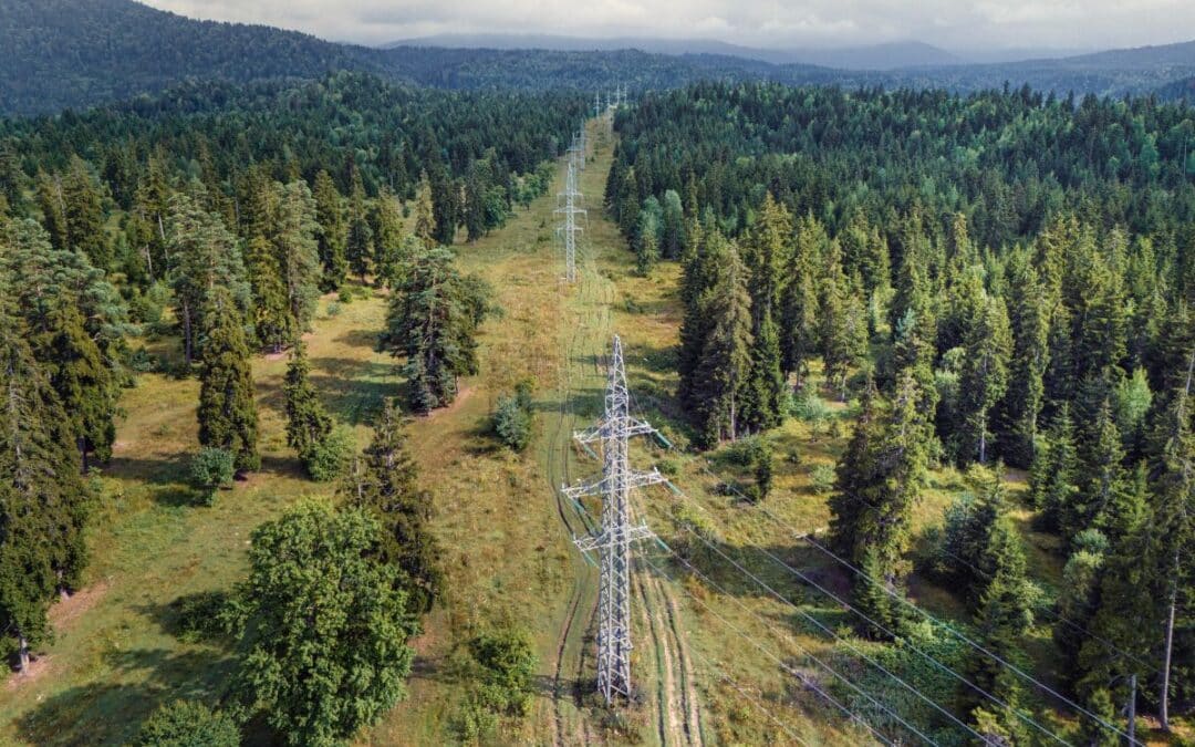 Vegetation visibility is becoming critical infrastructure