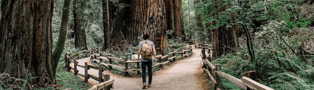 Career development at Logic: choose your own adventure