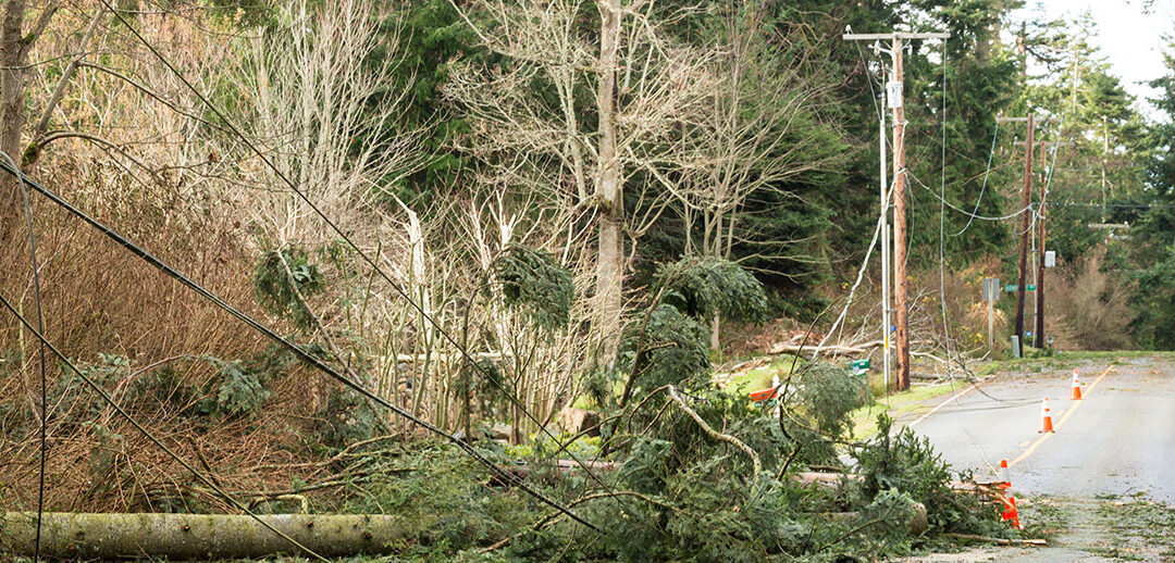 Utility emergency event simulation tools
