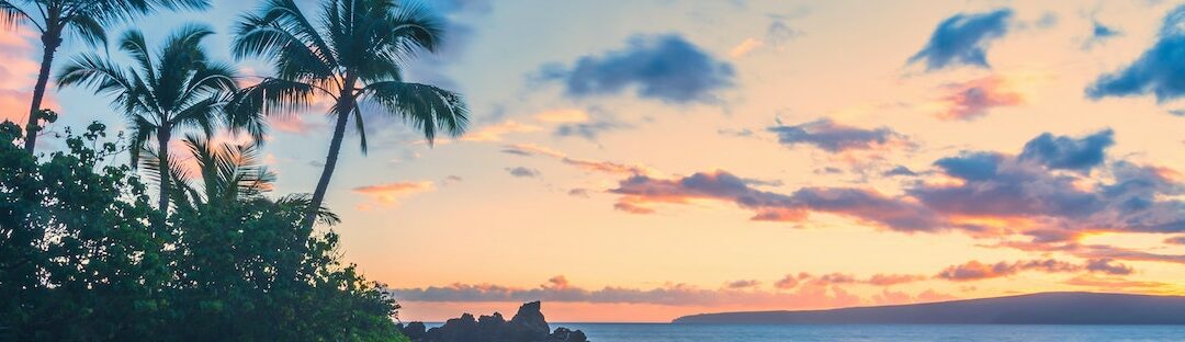 Working from home … when home is Hawaii