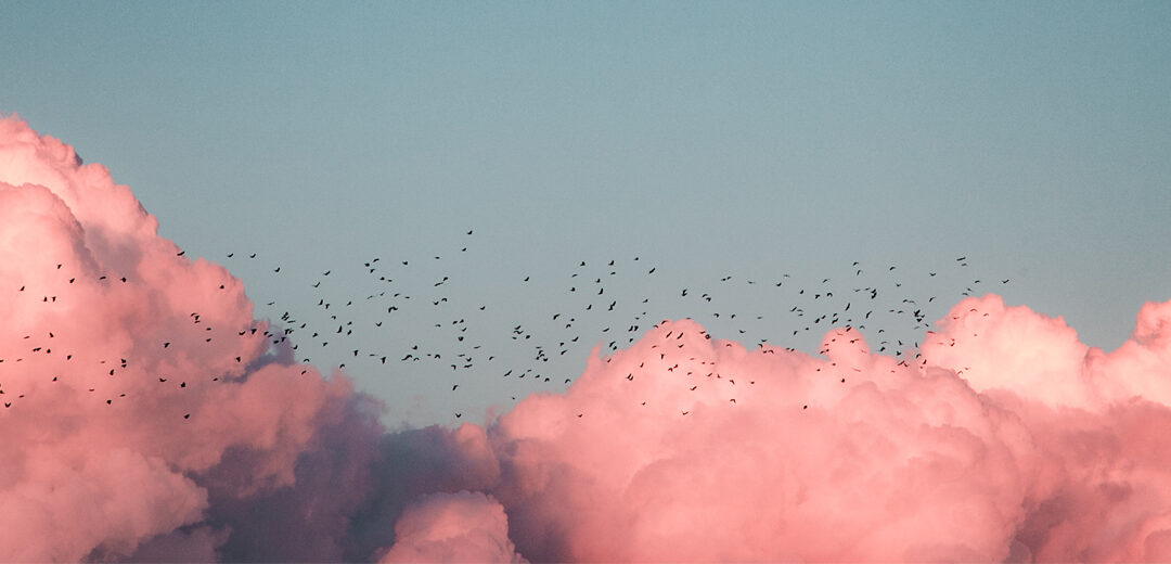 Unveiling the Benefits of Salesforce Service Cloud