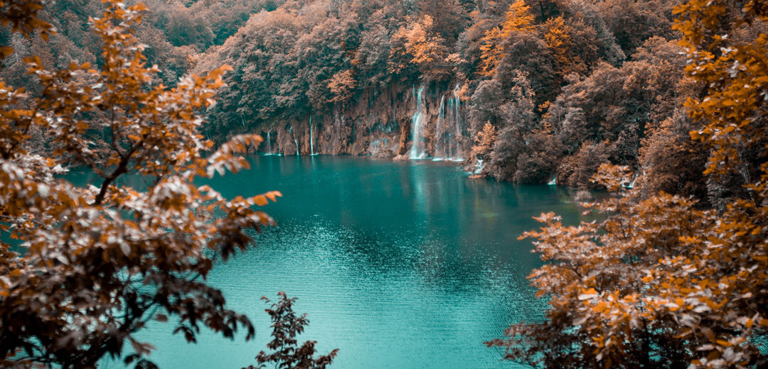 Using data lakes to unify information and deliver insights